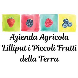 Lilliput i Piccoli Frutti della Terra