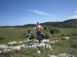 Yoga Roma Brahmananda