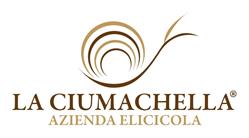 La ciumachella Roma