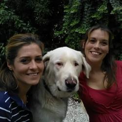 Scodinzolandia Vacanze Bestiali