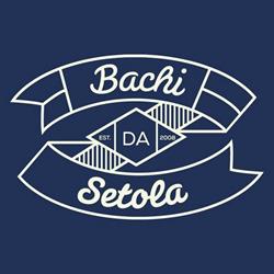 Bachi da setola