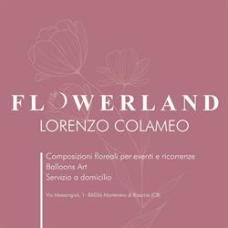 Flowerland Montenero
