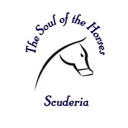 The Soul of the Horses