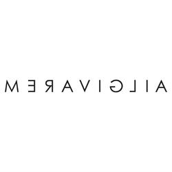Meraviglia Vimercate