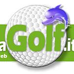 LaPallinaDaGolf.it - Palline da golf usate