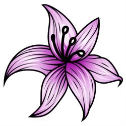 Cattleya