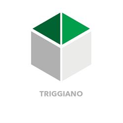 Agenzia immobiliare Iconacasa Triggiano