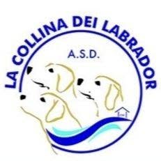 La Collina Dei Labrador ASD