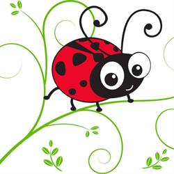 Cartolibreria La Coccinella