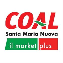 COAL Santa Maria Nuova AN