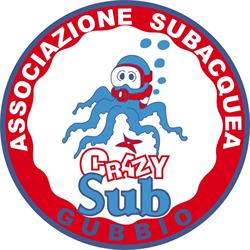 Crazysub