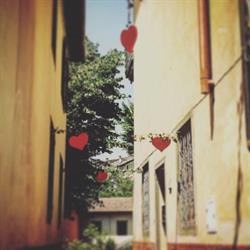 Il Gatto Nero - guest house