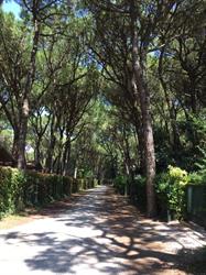 Villa Tiziana Affittasi Appartamenti
