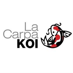 La Carpa KOI