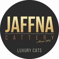 Jaffna cattery