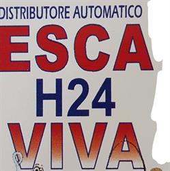 Obbiettivo PESCA esca viva h24