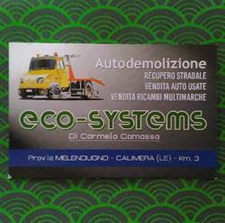 Eco-Systems di Carmelo Camassa