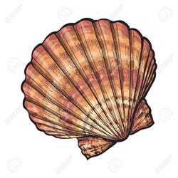 Il mare nel cassetto