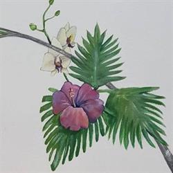 Il Giardino di Gio