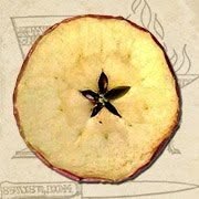 Anticamela