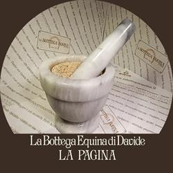 La Bottega Equina di Davide