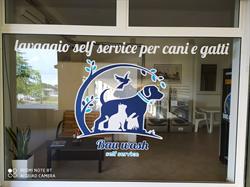Bau Wash Self Service