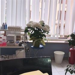 Studio di Medicina del Lavoro Dott.ssa V. Albeggiani