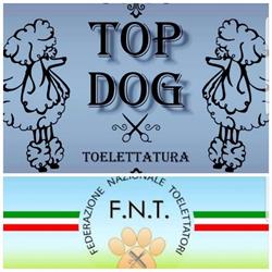 TOP DOG toelettatura