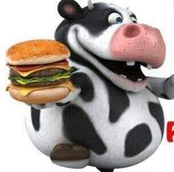 Oltre la Carne