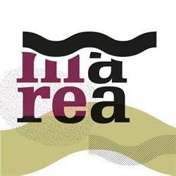 Marea