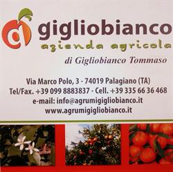 Azienda Agricola Gigliobianco