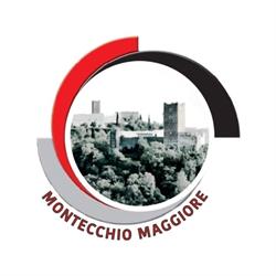 Gesticasa Montecchio Maggiore