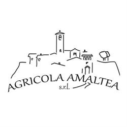 Street Food amaltea
