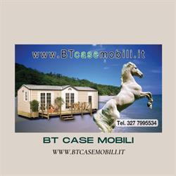 BTcasemobili
