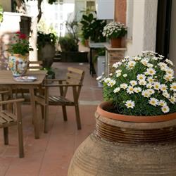 Casa Putti