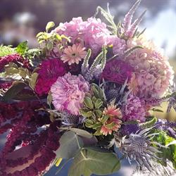Artemis Fiori e Piante