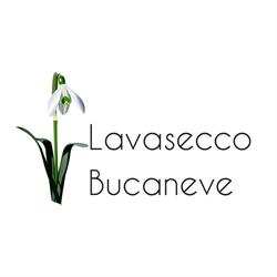 Lavasecco Bucaneve