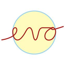 Evo - Centro di psicoterapia per l'età evolutiva