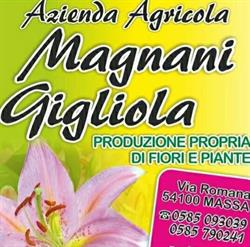 Az Agricola Magnani Gigliola Di Fruzzetti Riccardo