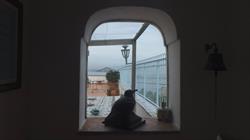 B&B La Terrazza