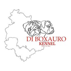 Allevamento di Boxauro