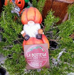 La Bottega che non c'era