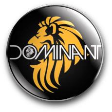 Dominant Audio