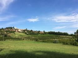 Cascina Sarassi