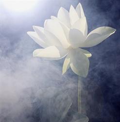 Breathe yoga