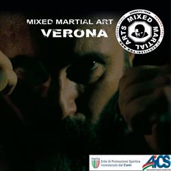 ASD MMA Institute