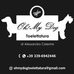 Oh My dog Toelettatura