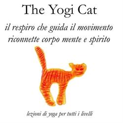 The Yogi Cat