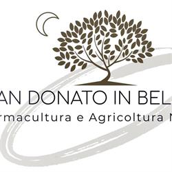 San Donato in Bellaria