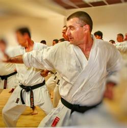 SEI SHIN Karate Do - Milano